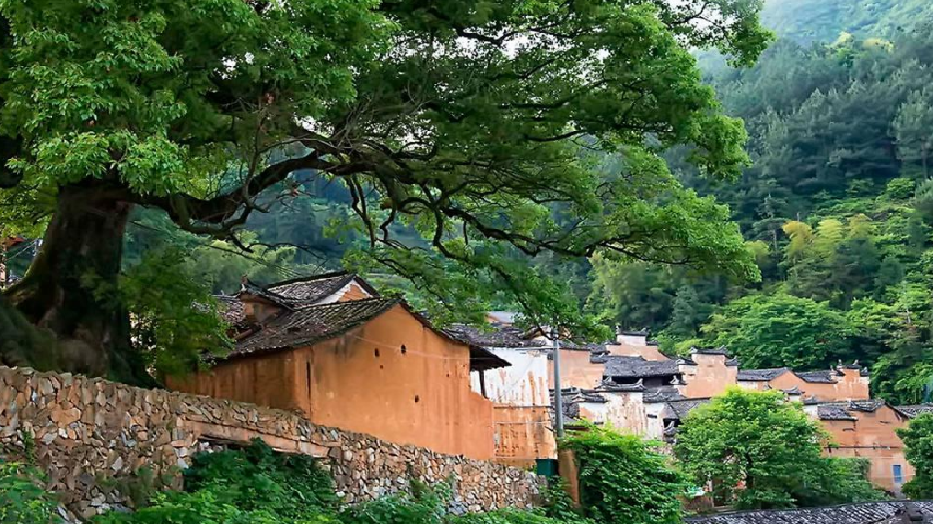 五台山 浙江一座350年得到古村，享有“金色布达拉宫”之称，人少景美！