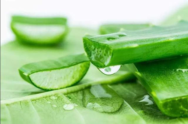 蔬菜|女生们在秋季应该多吃什么，有利于自己的身体健康，并美容养颜呢？