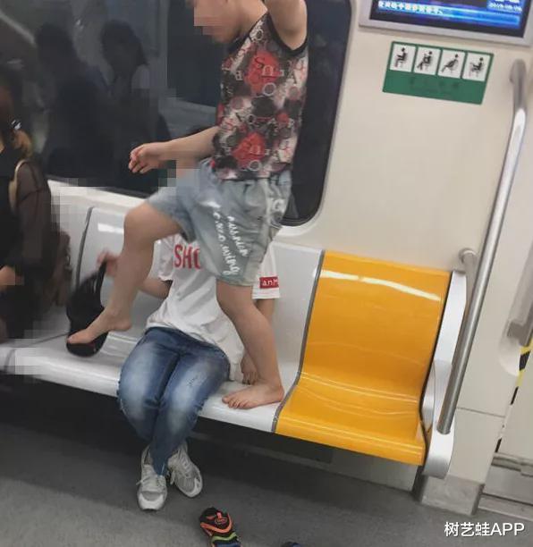 树艺蛙APP|活久见！北京动物园游客挑衅11只白虎，网友：禁效仿，须严惩！