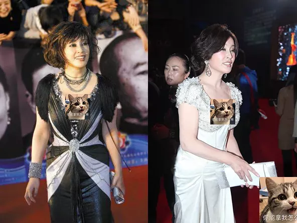 秋小爱|中年女明星红毯“作妖”，你姐在社会上，没什么不敢穿的