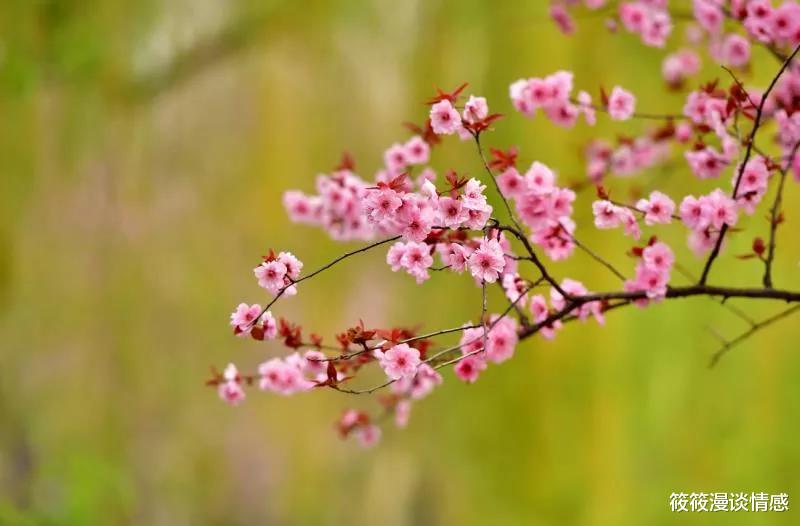 筱筱漫谈情感|“听妈的，晾着她，孩子都有了，彩礼少给点”别做梦了，人结婚了