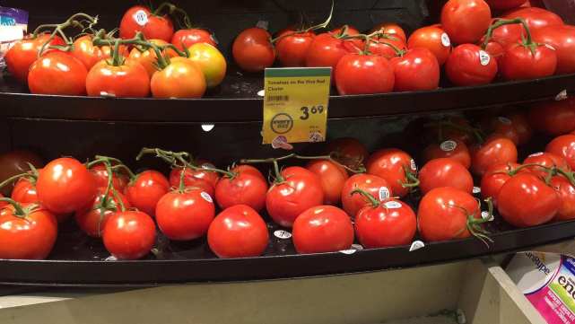 科学家 为什么番茄越来越难吃？科学家历时4年研究，发现番茄本质变了