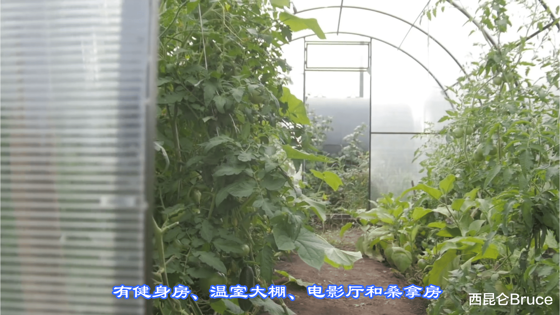 冰河时代 如果地球一夜间全部结冰，回到冰河时代，人类如何破局呢？