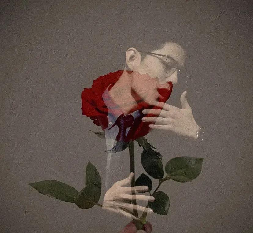 肖战|肖战《如梦之梦》玫瑰花墙里的品牌越来越多，TODS花墙很用心