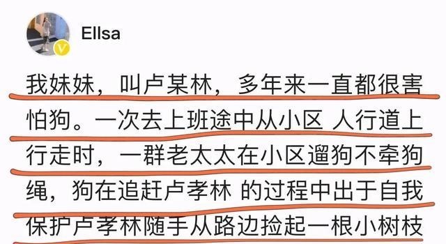 遛狗不拴绳引发悲剧:武汉卢女士和遛狗人士产生纷争后跳楼身亡