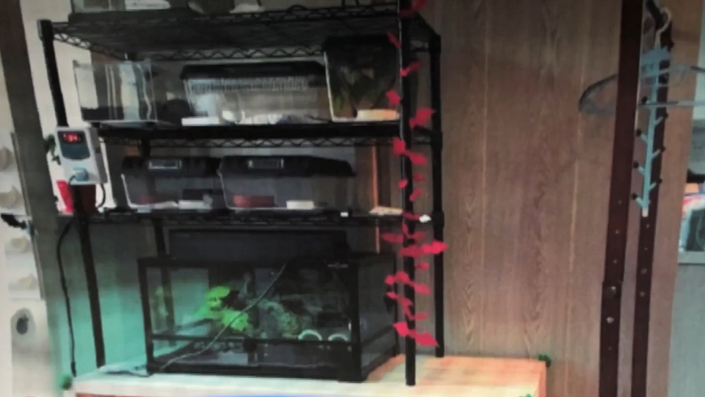 艺冰追剧 上海冰柜藏尸案——为何残忍杀害自己的新婚妻子？