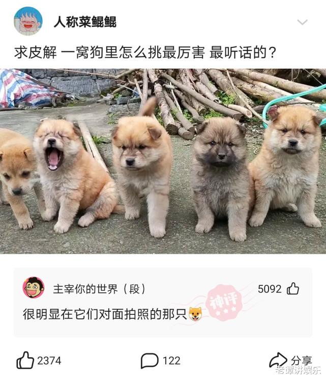 神回复:打疫苗以为能收获爱情,结果收到了警方的提示!我哭了