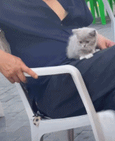 萌萌萌说|“我老婆很像范冰冰，你们是不是嫉妒了？”评论区精彩了！哈哈哈