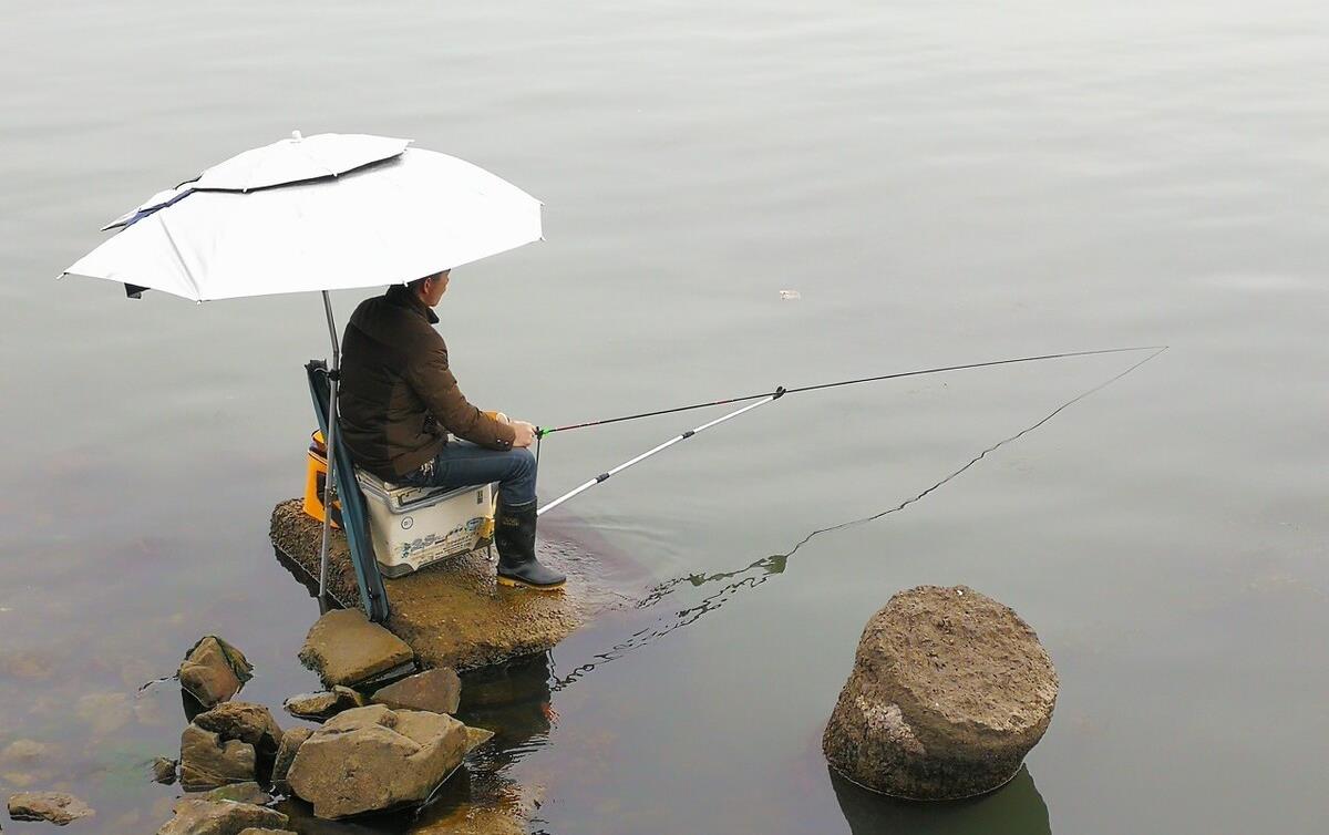 水库|那个被禁钓的水库“彻底凉了”！老板后悔赶走钓鱼人却迎来锚鱼人