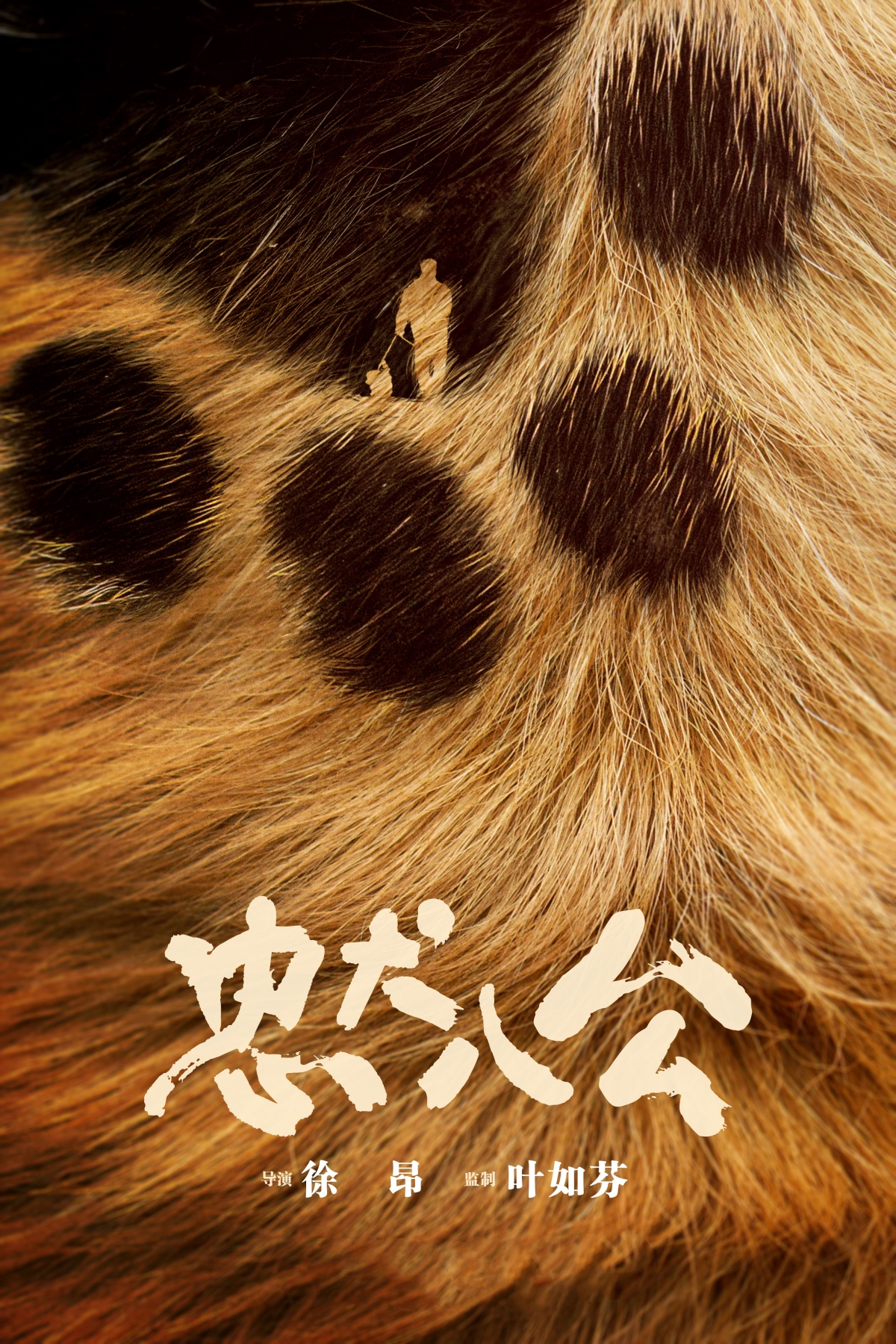 冯小刚|冯小刚新片《忠犬八公》定档，跟原版相比，这三点既期待又担心