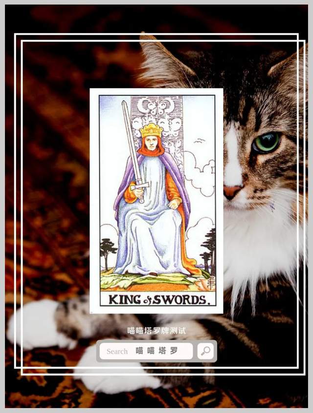 喵喵的塔罗|喵喵塔罗牌测试,你能靠什么赚到大钱?