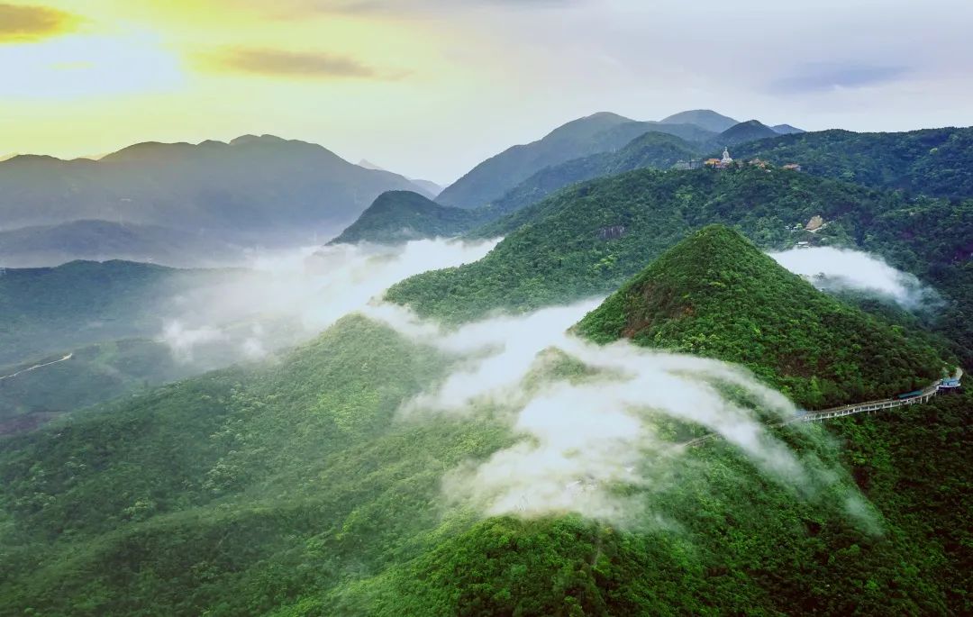 观音山|为什么一定要在12月来观音山？看完想立刻出发~