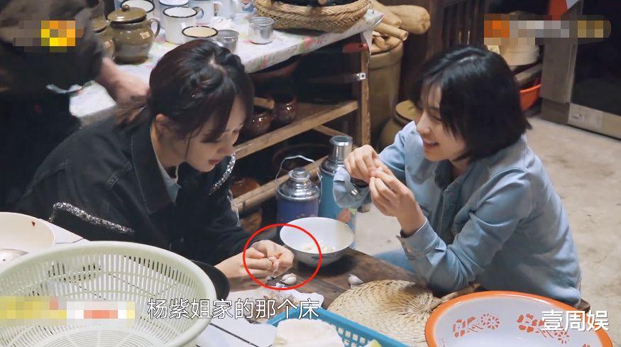 向华强|《向往的生活5》杨紫跟张艺兴一起种树，两人竟穿情侣睡衣泡脚？