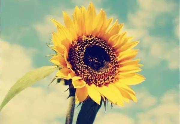 遇见小媛 不知不觉中，我们都变了