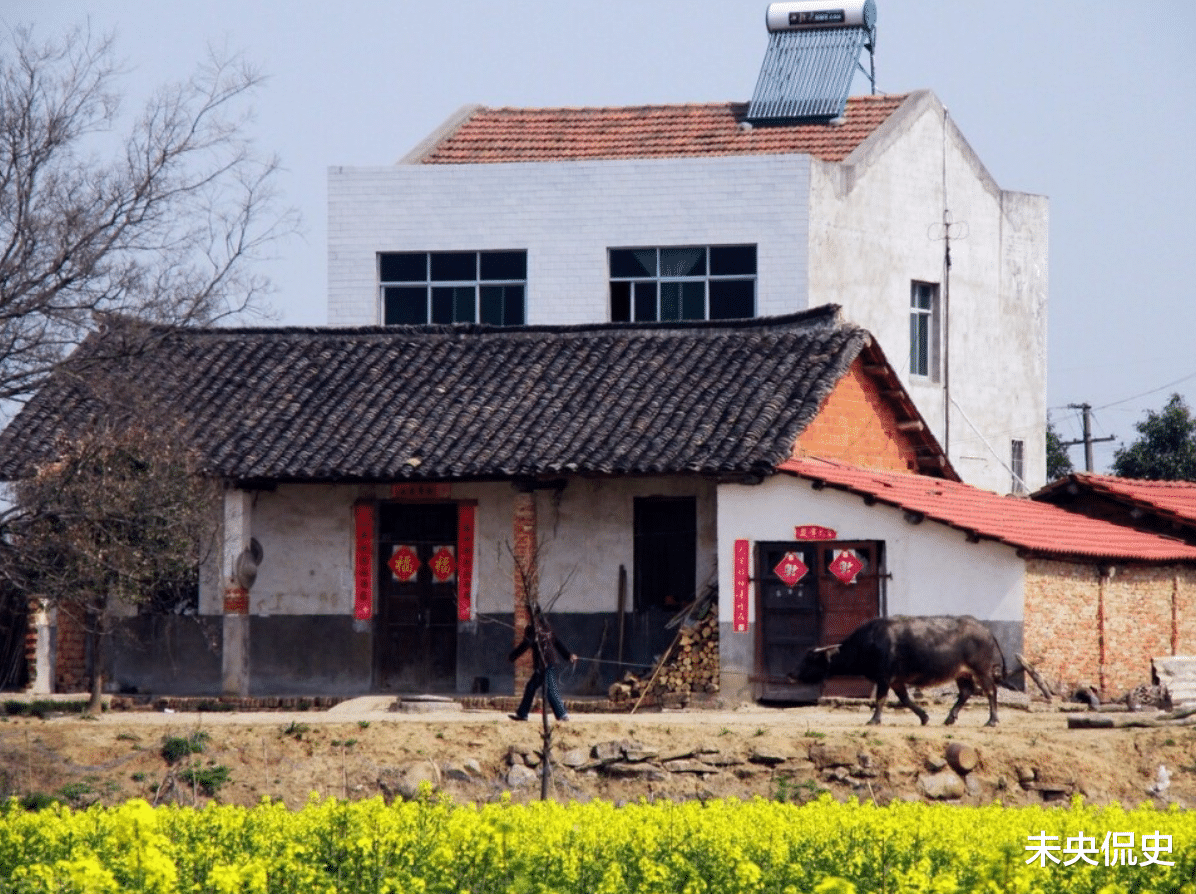 宅基地|停止确权？2021年起农村老房子统一按“新规”处理，子女需注意