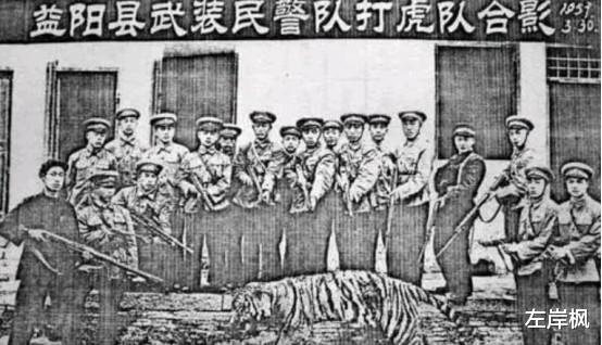 左岸枫 50年代湖南虎患横行，10年2000多人惨落虎口，围村另有原因？