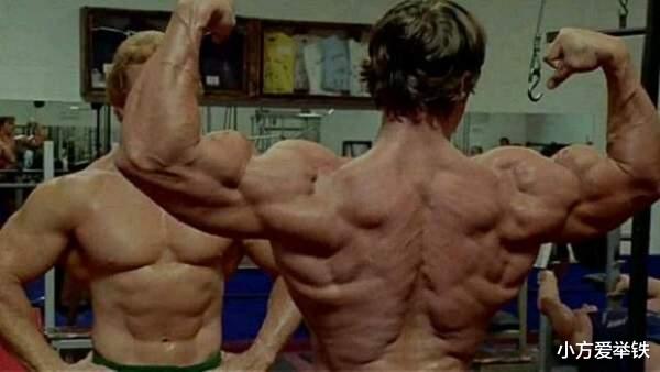 蛋白质|对于健身训练来说，一块肌肉一周到底要练几次？