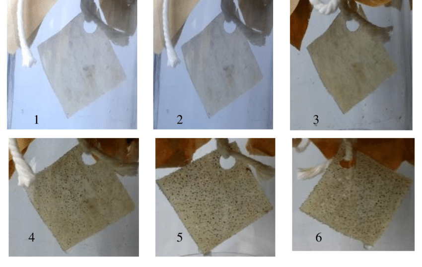 炭疽 什么是生物降解材料？如何进行相关的测试？