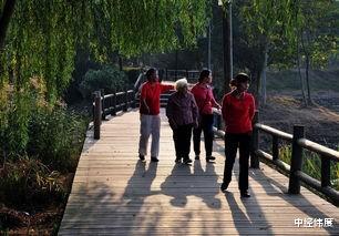 上海市|2021年，养老金再次上涨？此外，退休人员还能领到4项补贴