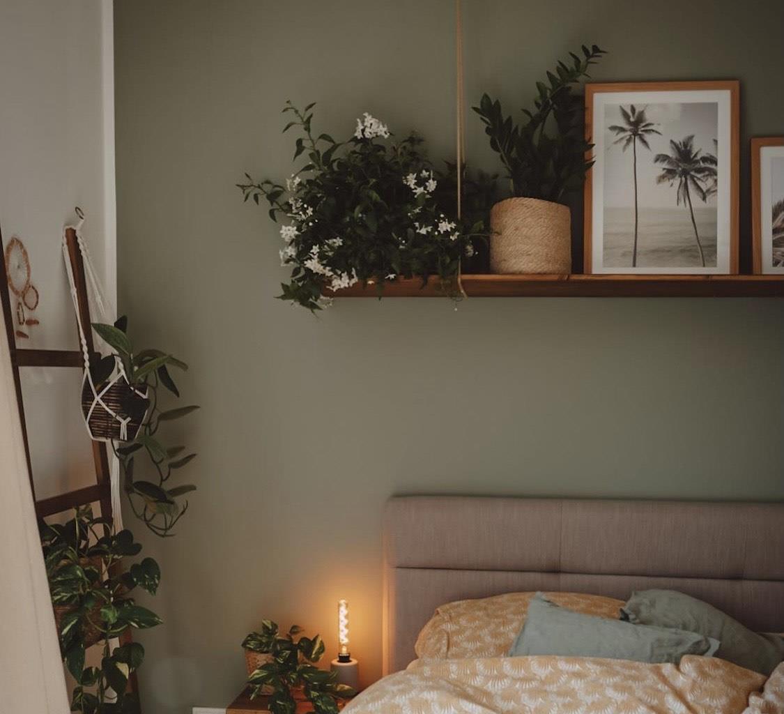 参观完她家，才知道什么叫高级！全屋绿植环绕，精致生活惹人羡慕