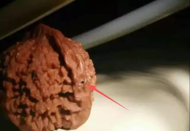 文玩核桃|文玩核桃的十大“诛心”时刻，一般人都承受不了！