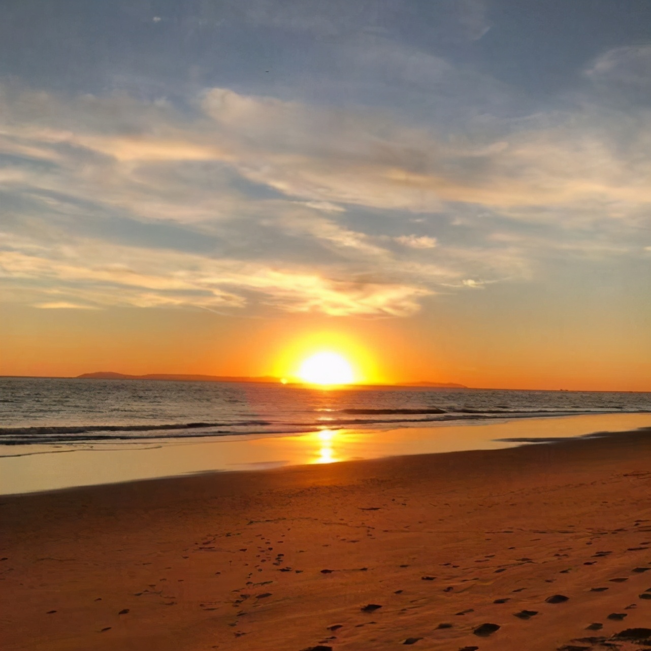 郑爽|郑爽的社交平台被封，曾花1000万开发社交软件，被程序员质疑洗钱