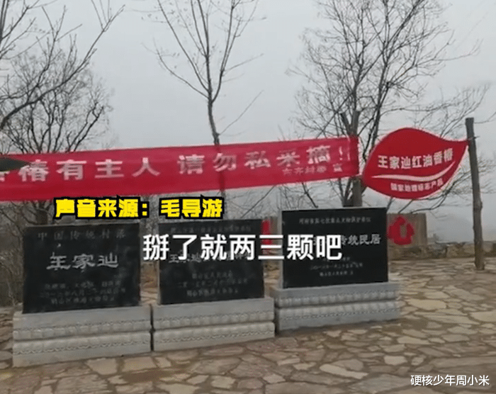 硬核少年周小米 四川：游客私自挖笋被索赔，1根竹笋10000元，我看到了人性的贪婪