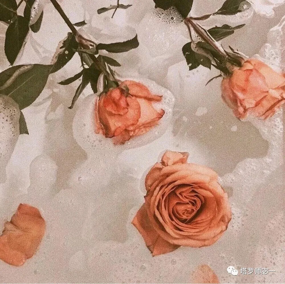 占卜师宓一|塔罗牌占卜：谁的余生为你而来？