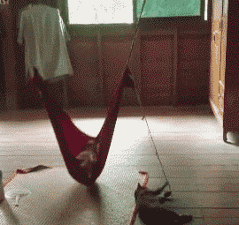 萌控孩|女朋友和她的闺蜜喝多了直接躺地上,我到底该怎么办呢?哇哈哈