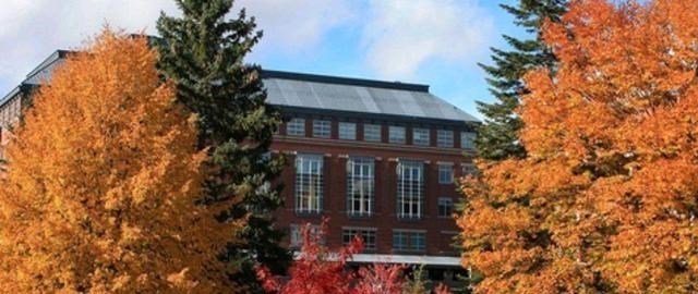 职场礼仪|新技能！大学生需要学会哪些职场礼仪？