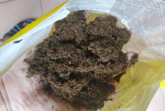 说说家装那点事儿|你买的营养土，可能是假的，椰糠当泥炭，养多肉容易烂根