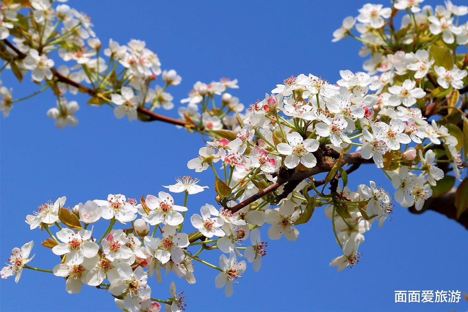 面面爱旅游 内蒙古内部或有“新规划”,这2区可能合并,有望实现“撤区设市”