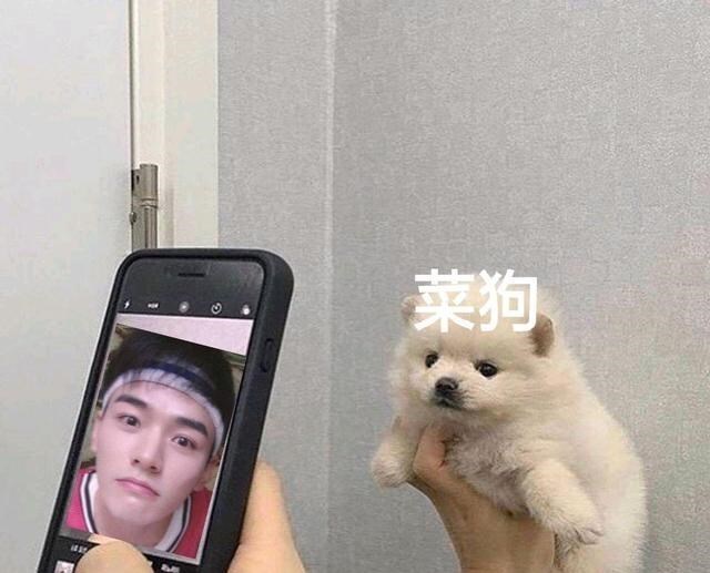 龚俊|龚俊再次被嘲“人菜瘾还大”，气到半夜睡不着，晒图和粉丝battle