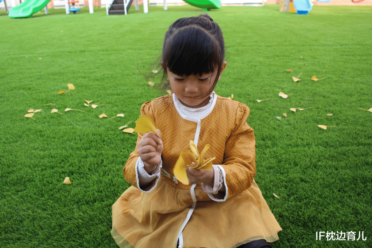 IF枕边育儿|自然教育正当时：秋天是最丰富的季节，一定要带孩子走出四方屋子