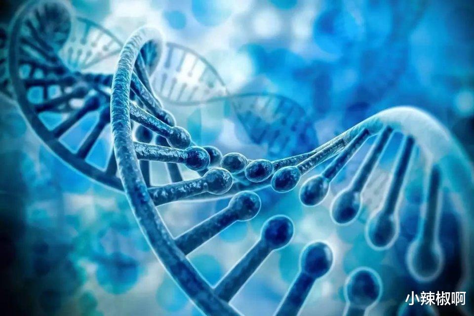 肺癌|美国国立卫生研究院,针对从来不吸烟的人们所患的肺癌,揭示原因