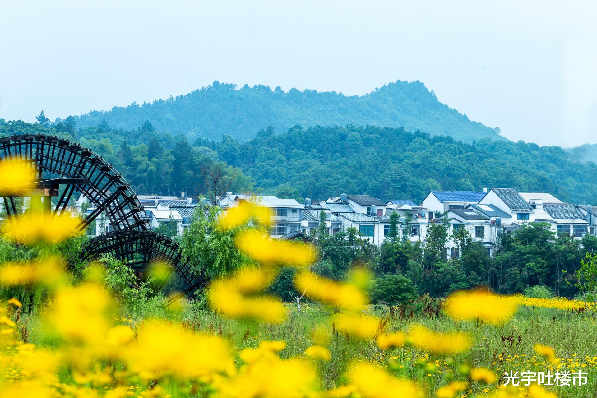 宅基地|2022年起，自建房子将被禁止？6类情况农民要引起重视