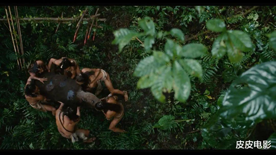 杨在葆|人类历史上最血腥的时刻，赤裸裸拍了出来，这电影到底隐喻什么？