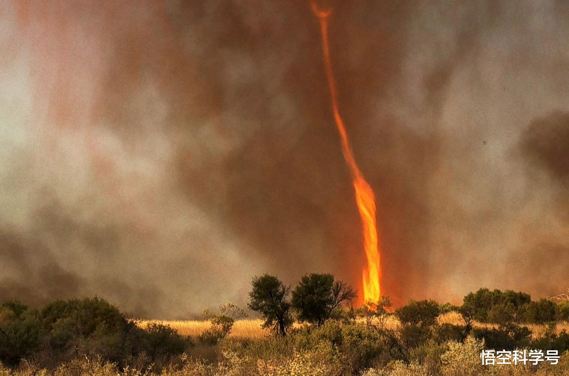 科学家 地球气候崩溃了怎么办？科学家指出：五个国家，或为最后避难所