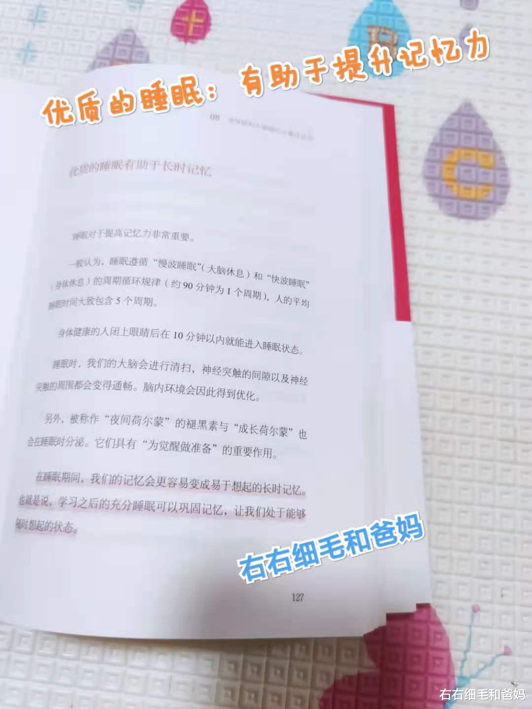 右右细毛和爸妈|一孕傻三年，真的是这样吗？别再冤枉宝妈了，“孕傻”并不“傻”