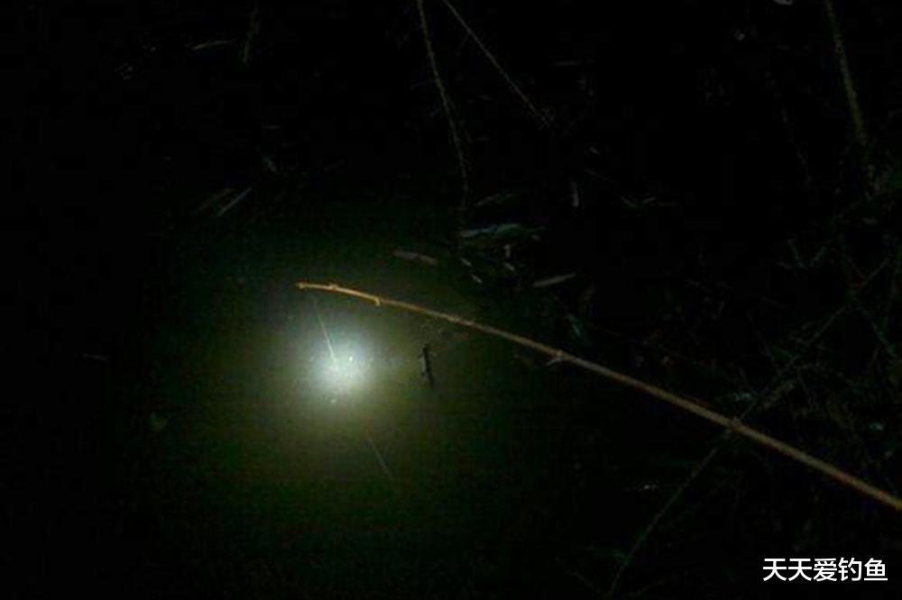 |春季夜钓昂刺鱼，垂钓方法有三种，方法简单可靠，不愁钓不到鱼！
