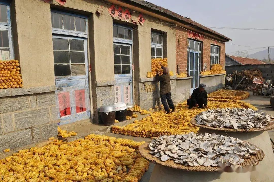 昆山|农村?宅基地包括院坝吗？院子能否进行确权？超面积了怎么办？?