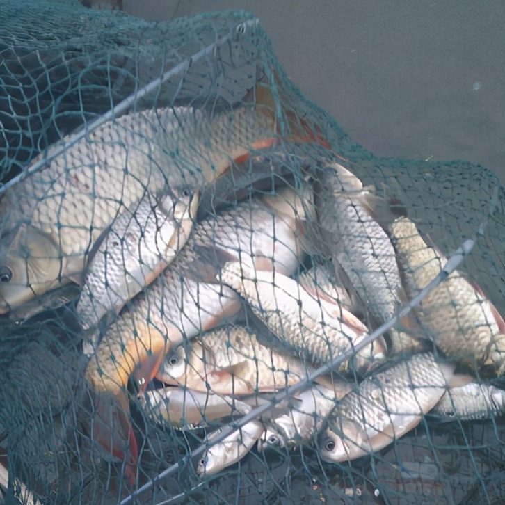 |初春野钓遵循这5点，一定不会让你空手回——盛世三渔