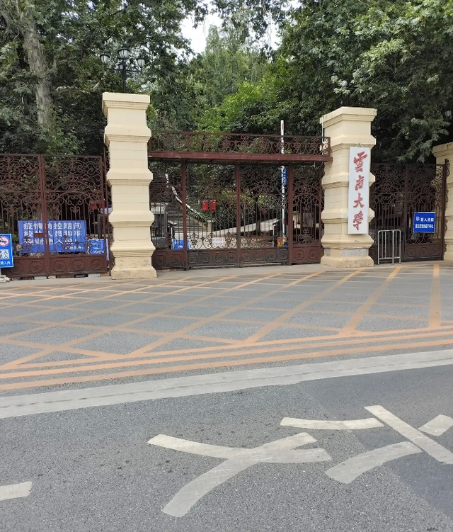 小朱聊育儿|云南传来喜讯！硫化铂领域中方全面反超，专家：解决芯片大难题