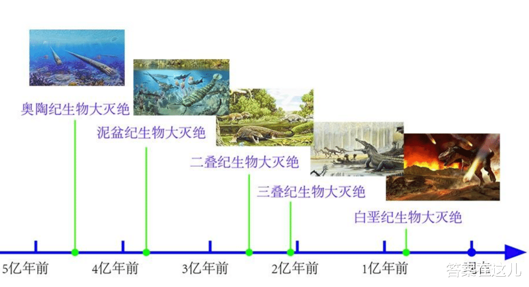 地球被恐龙称霸前,出现过的统治者有谁?科学家给出分析