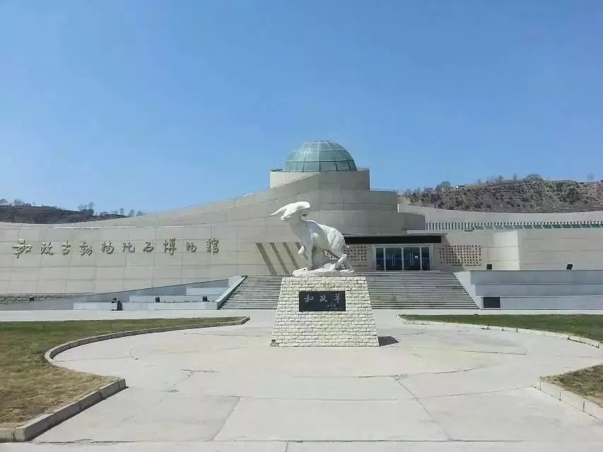 癌细胞 和政古动物化石博物馆:一部描绘自然生命的万卷书