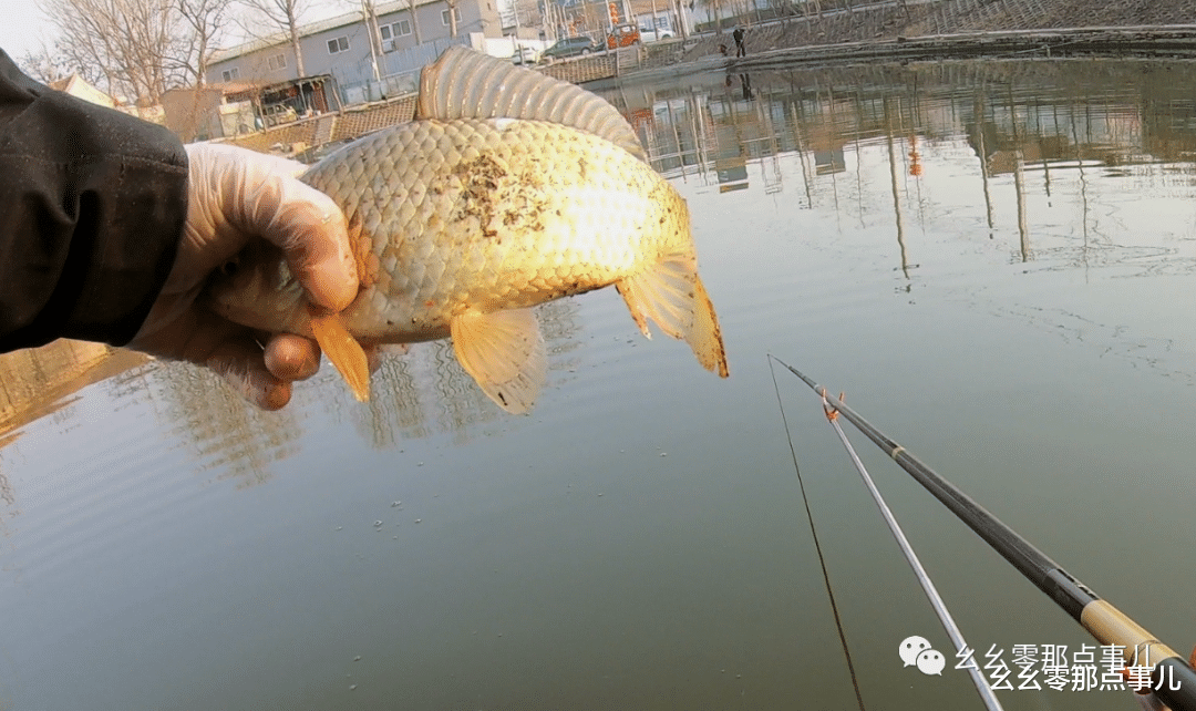 饵料|还记得您的第一根钓竿吗？我的才79元，现在用起来还很顺手！