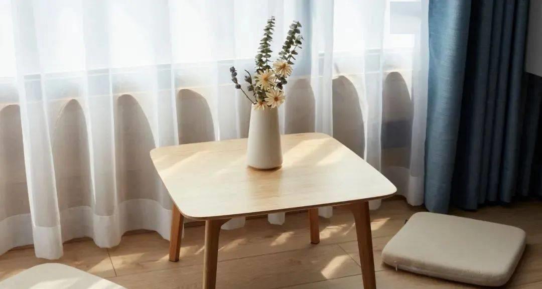 一人一猫一间屋,我敢说,这是绝大多数女孩都梦想的生活,好羡慕