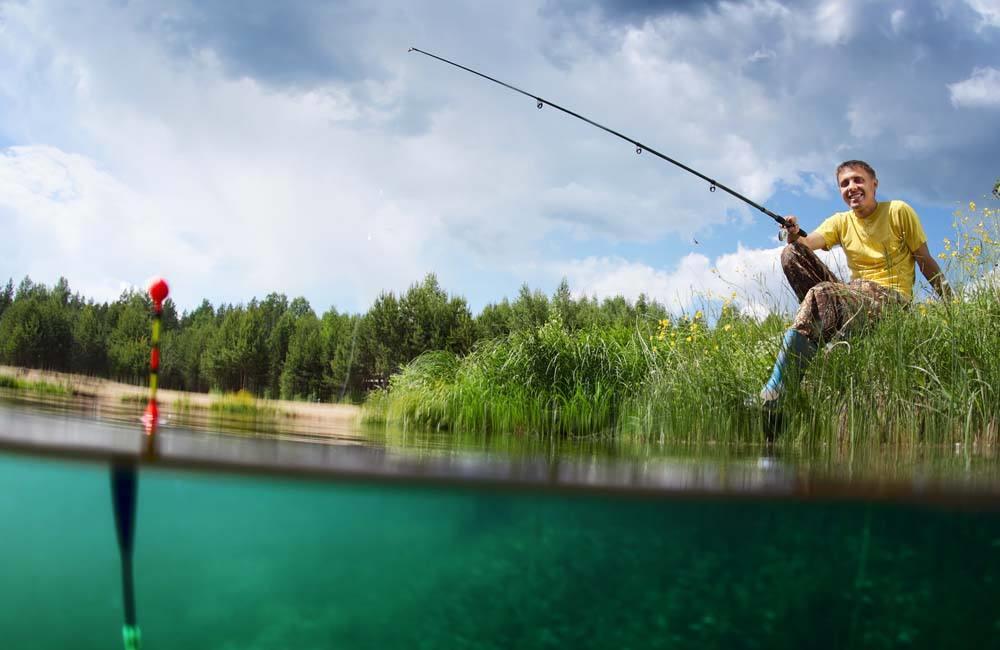 |男子钓鱼结果钓了个大家伙，回去论斤卖，也值不少钱