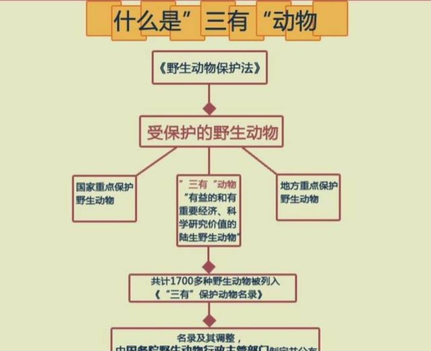 麻雀泛滥,并没有灭绝的风险,为什么还要被保护无人敢抓?