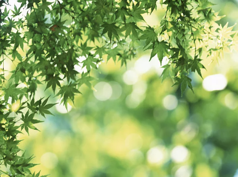 青岛新闻网健康|教你夏天如何正确喝水~